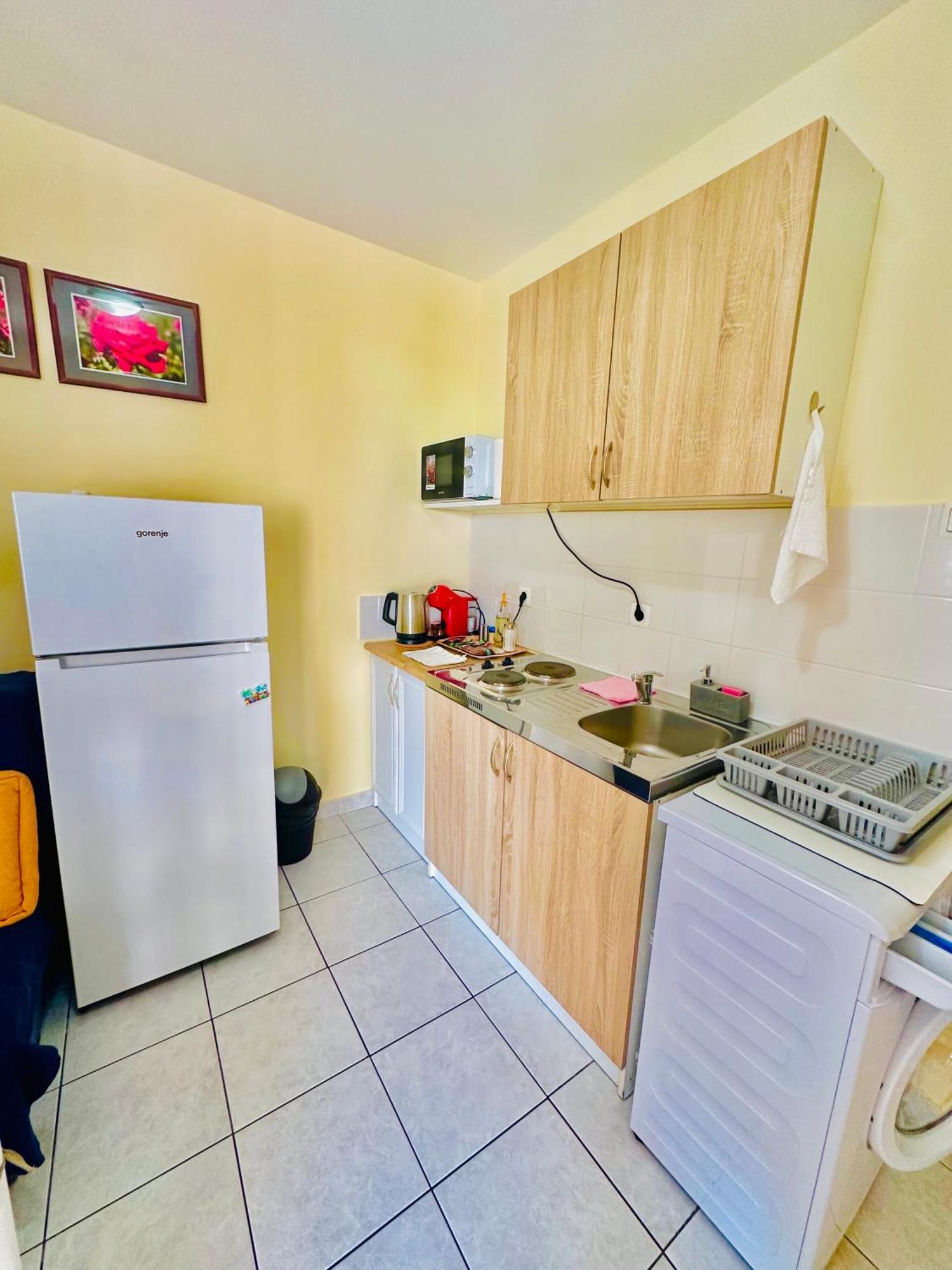 Villa Dionis Budva Extérieur photo